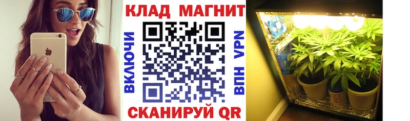 Купить наркотики сайты Новоржев МДМА  Меф мяу мяу  ГАШ  Псилоцибиновые грибы  Канабис  Альфа ПВП 
