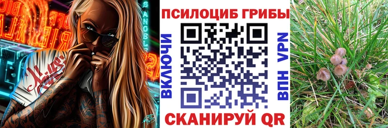 мориарти формула  Новоржев  Галлюциногенные грибы MAGIC MUSHROOMS 