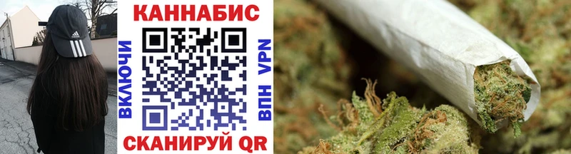 Бошки марихуана THC 21%  Новоржев 